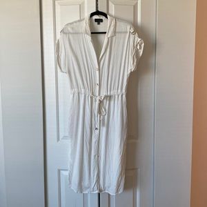 Anthropologie Lucy Paris white Pin Stripe Button Down Shirt Dress